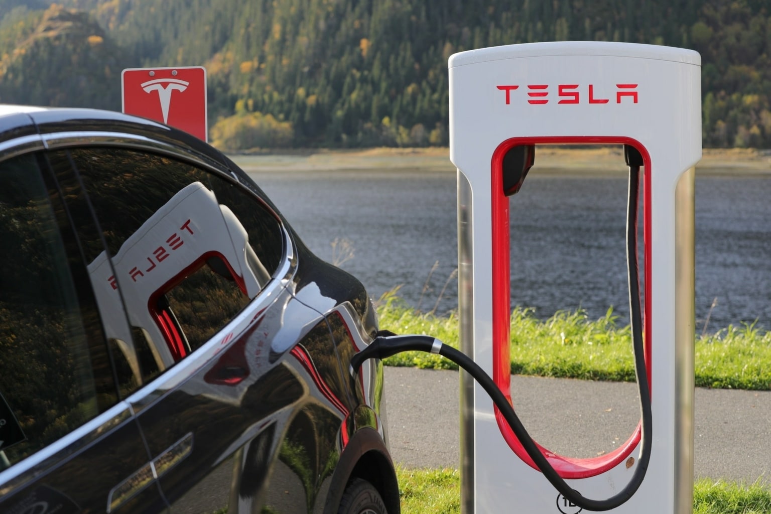 Does Tesla Deserve to Be Treated as an ESG Champion? Ethical Systems